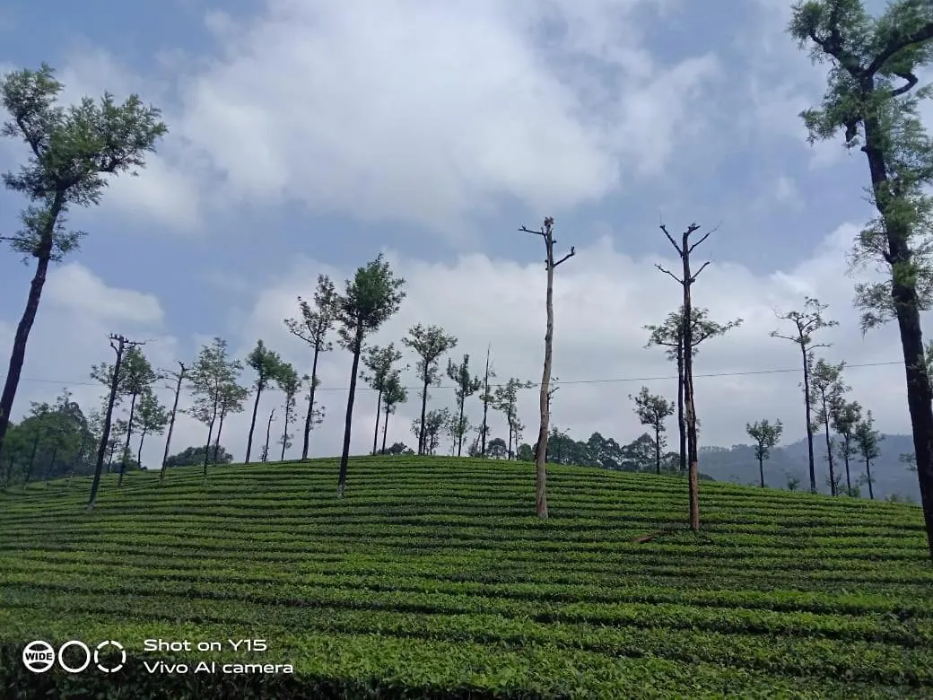 Dam Valley Home Stay Resort Parambikolam India