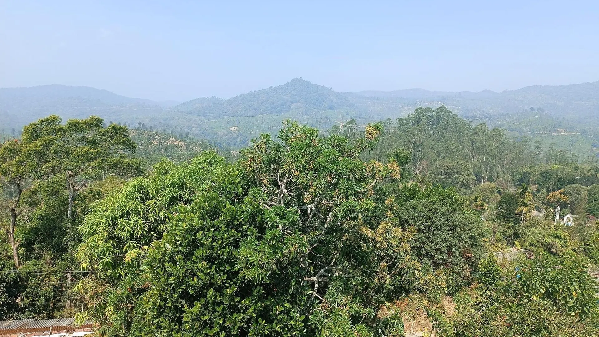Homestay Dam Valley Home Stay Resort Parambikolam